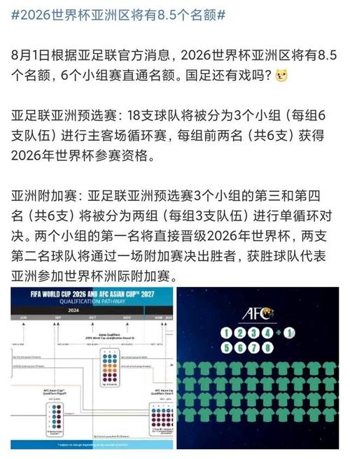 韩日世界杯亚洲参赛名额