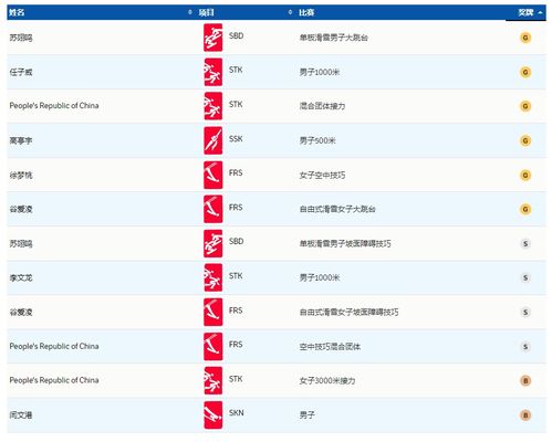 冬奥会金牌榜排名