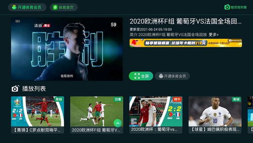 电视如何看欧洲杯