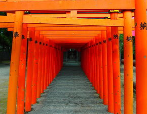 在靖国神社涂鸦的男子被日本公审，历史与现实的交织